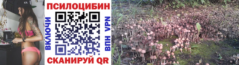 Галлюциногенные грибы мицелий  Жиздра 